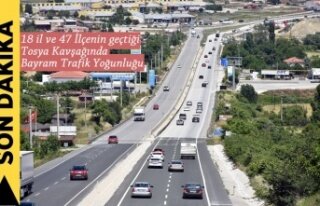 18 İl ve 47 İlçenin Geçiş Yaptığı D100 Karayolu...