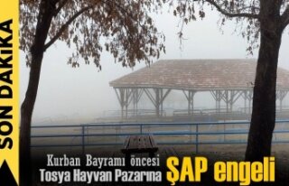 KURBAN BAYRAMI ÖNCESİ TOSYA HAYVAN PAZARINDA YAŞANAN...