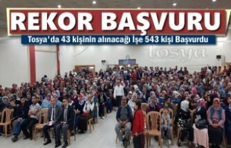 Tosya'da İŞKUR Alımına Rekor Başvuru