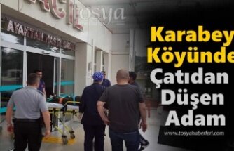 Tosya'da Çatıdan Düşen Adam Yaralandı