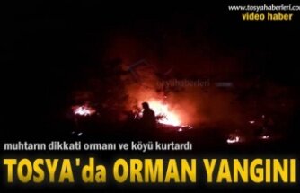 Tosya'da Orman Yangını