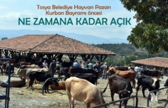 Tosya Hayvan Pazarı Kurban Öncesi Ne Zamana Kadar Açık