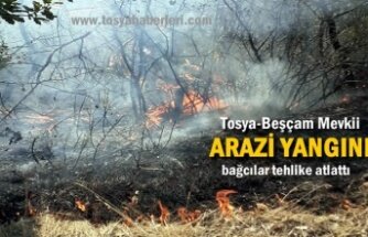 TOSYA-BEŞÇAM MEVKİİNDE YANGIN
