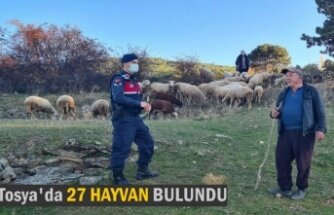 TOSYA'DA 27 HAYVAN BULUNDU