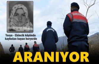 Tosya-Ekincik Köyünde kaybolan bayan heryerde aranıyor