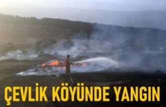 TOSYA-ÇEVLİK KÖYÜNDE KORKUTAN YANGIN
