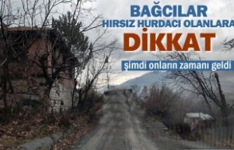 TOSYA'DA BAĞ SAHİPLERİNİ UYARIYORUZ !