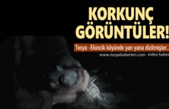 TOSYA-EKİNCİK KÖYÜNDE KORKUNÇ GERÇEK