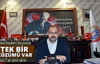 Tosya Belediye Başkanı Sokak Köpekleri Konusunda Son Noktayı Koydu