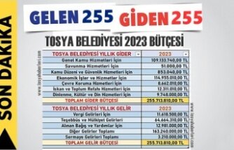 TOSYA BELEDİYESİ DETAYLI 2023 BÜTÇESİ