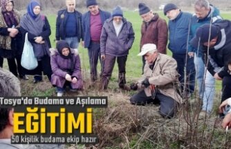 TOSYA'DA 50 KİŞİ BUDAMA KURSUNA GİTTİ