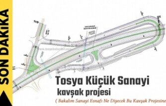 TOSYA SANAYİ VE SULUCA KÖYÜ KAVŞAKLARI