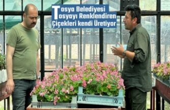 Tosyatı Renklendiren Binlerce Çiçek Serada Yetişiyor