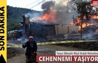 Tosya Gökceöz Köyünde Çıkan Yangında 10 Ev Tamamen Yandı