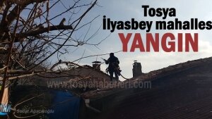 Tosya İlyas bey mahallesinde yangın paniğe neden oldu